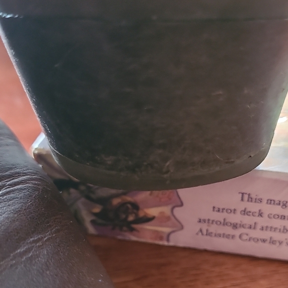 Frye Dark Brown Leather Moto Boots - Picture 12 of 13